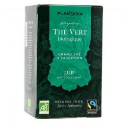 Plantasia The Vert Pur