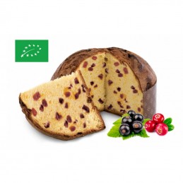 Panettone Canneberge Cassis...